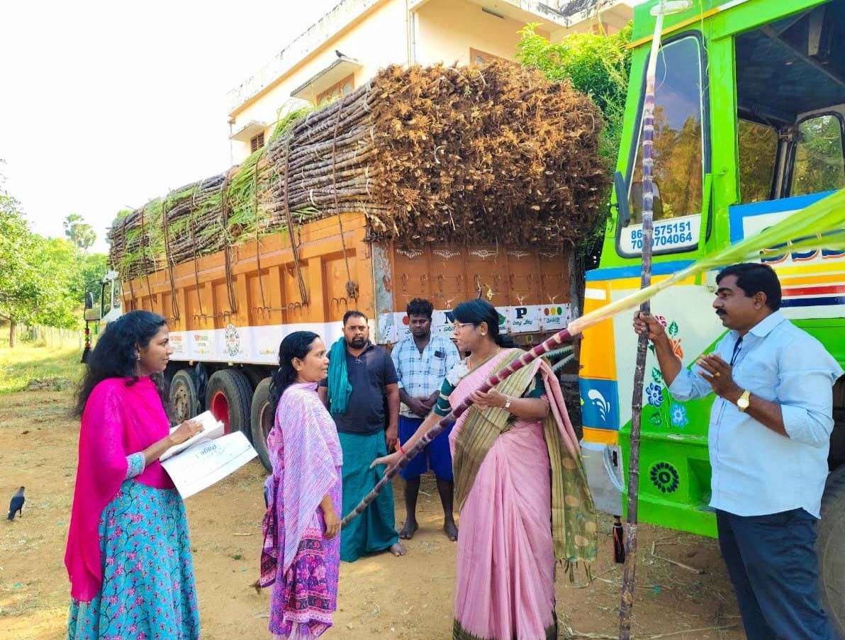 கன்னியாகுமரி மாவட்டத்தில் பொங்கல் பரிசுத் தொகுப்பு டோக்கன் வீடு வீடாக வழங்குவதை மாவட்ட ஆட்சியாளர் அழகுமீனா நேரில் ஆய்வு